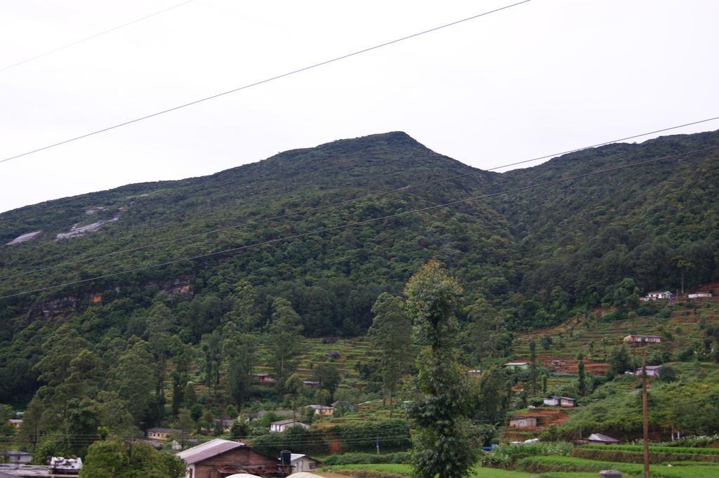 Winter Dream Holiday Bungalow Nuwara Eliya Chambre photo